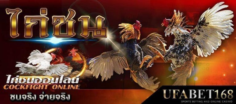 ไก่ชน